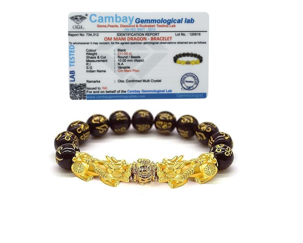 Buy GEMTUB Pack of 2 Feng Shui Black Obsidian Pixiu | Om Mani